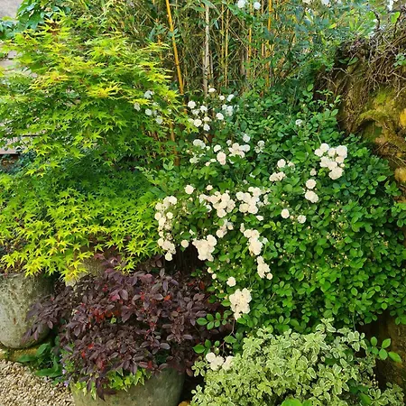 Hotel Logis Le Boudoir