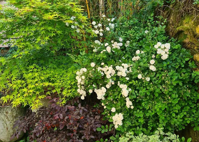 Hotel Logis Le Boudoir